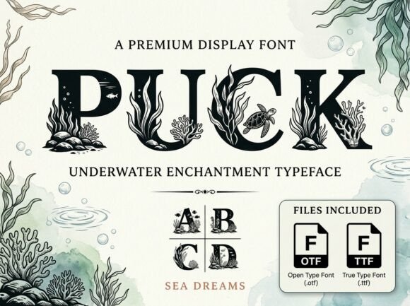 Puck Font for Creative Design