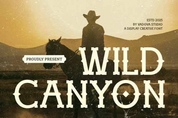 Wild Canyon Font for Bold Web Design